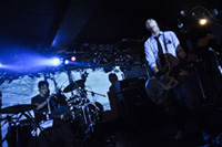 ミラクルガラパゴストリップvol.2