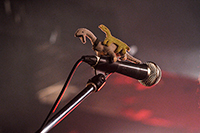 ミラクルガラパゴストリップ ５周年記念 初ワンマン『拝啓 ロンサムジョージ』