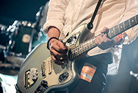 進化の枝分かれフェス