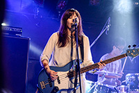 進化の枝分かれフェス