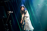 進化の枝分かれフェス