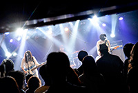 進化の枝分かれフェス