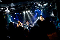 進化の枝分かれフェス