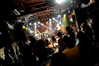 進化の枝分かれフェス