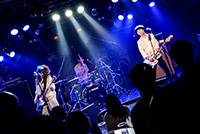 進化の枝分かれフェス