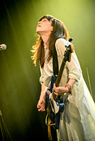 進化の枝分かれフェス