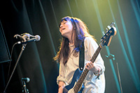 進化の枝分かれフェス