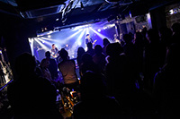 ミラクルガラパゴストリップ vol.7