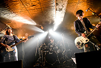 ミラクルガラパゴストリップ vol.7