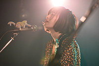 ハイイロジェントルダイナソー presents  ミラクル ガラパゴス トリップ vol.8