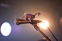 ハイイロジェントルダイナソー presents  ミラクル ガラパゴス トリップ vol.8