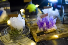 ミラクルガラパゴストリップvol.9