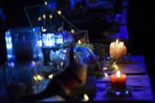 ミラクルガラパゴストリップvol.9